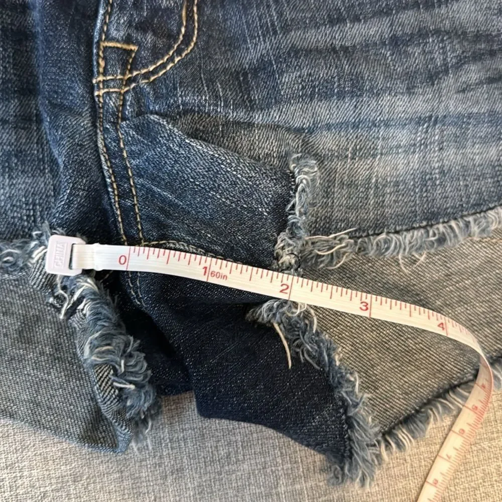 American Eagle Shorts